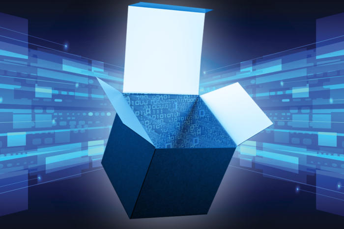 white-box-services_network-servers.jpg